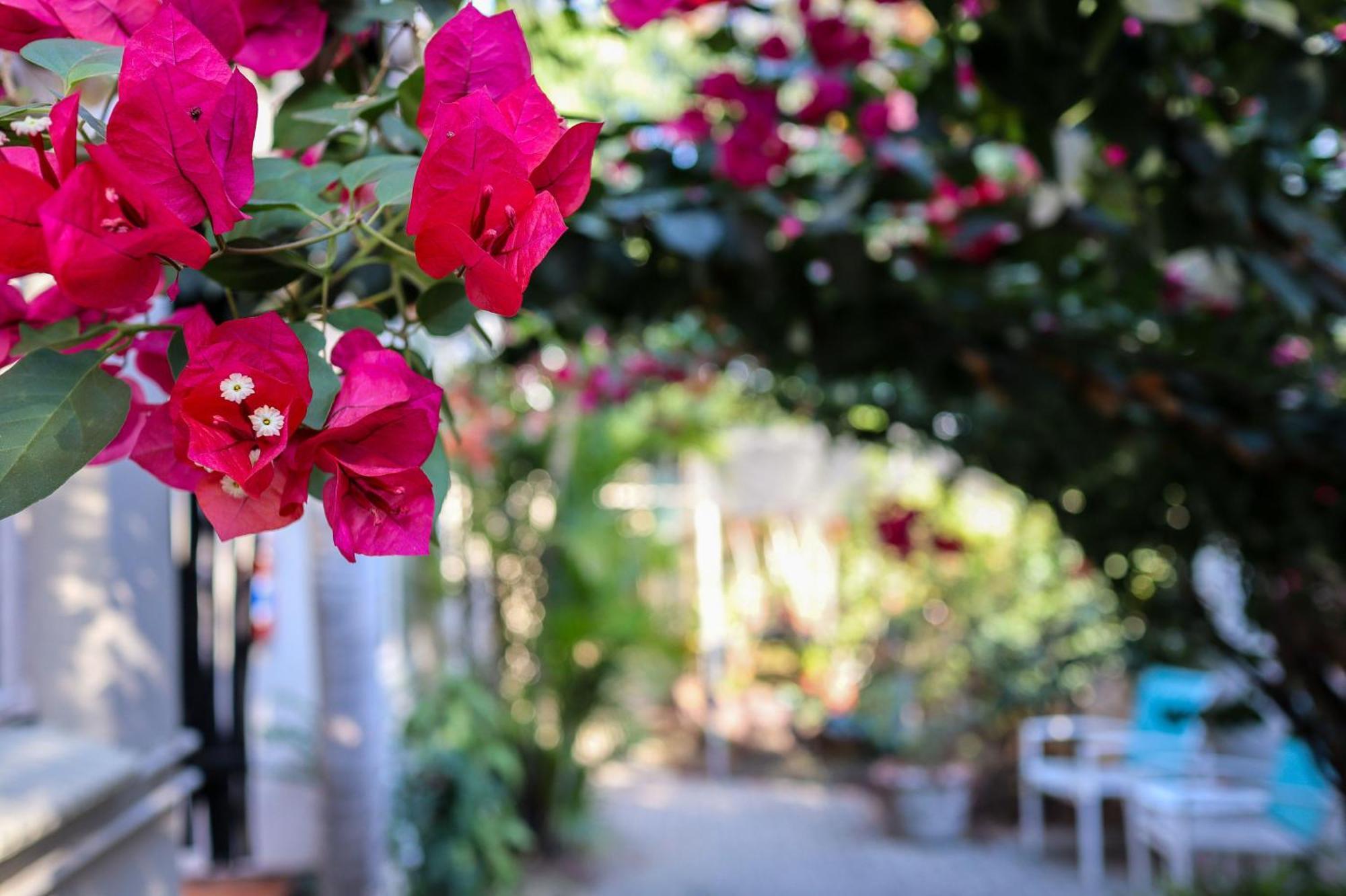 A Traveller'S Palm Hotel พาลาบอร์วา ภายนอก รูปภาพ